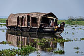 Kerala backwaters, morning mist on Vembanad Lake.  